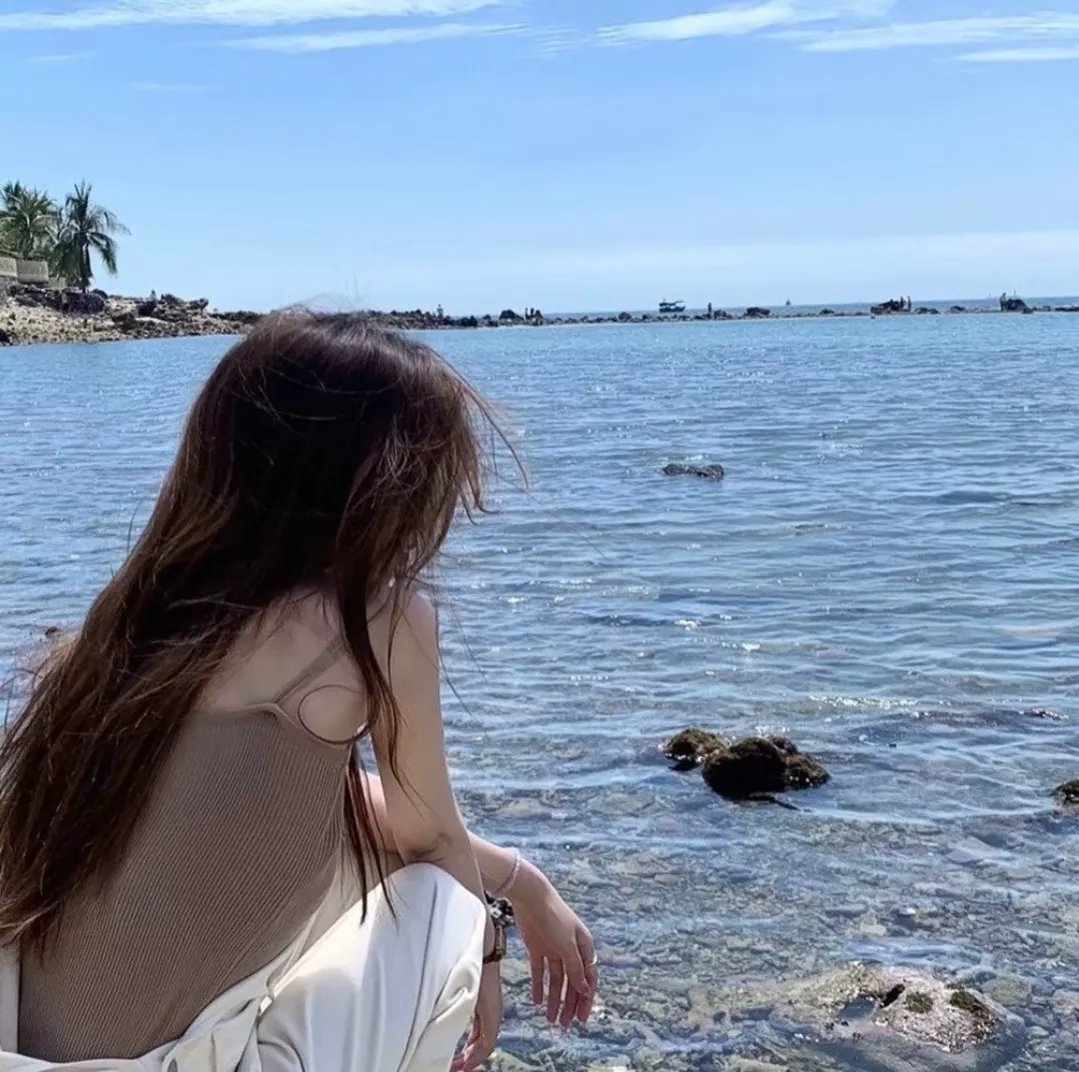 海豚伯尼2